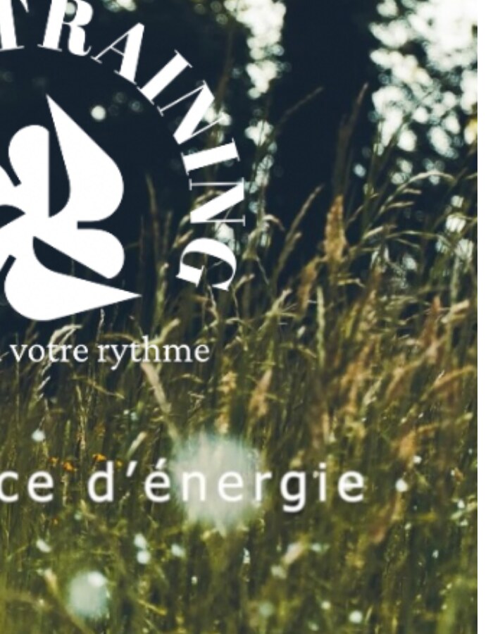 Accompagnement individuel du coach